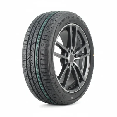 Всесезонная шина Vitour Tempesta Quattro 225/60 R17